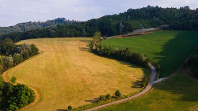 EASYLAGE VALLEY